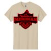 Heavy Cotton ™ 100% Cotton T Shirt Thumbnail