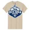Heavy Cotton ™ 100% Cotton T Shirt Thumbnail