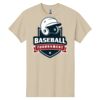 Heavy Cotton ™ 100% Cotton T Shirt Thumbnail