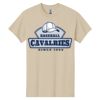 Heavy Cotton ™ 100% Cotton T Shirt Thumbnail