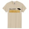 Heavy Cotton ™ 100% Cotton T Shirt Thumbnail
