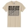 Heavy Cotton ™ 100% Cotton T Shirt Thumbnail