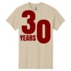 Heavy Cotton ™ 100% Cotton T Shirt Thumbnail
