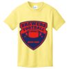 Youth 5.4 oz Cotton T-Shirt Thumbnail