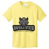 Youth 5.4 oz Cotton T-Shirt Thumbnail