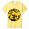 Youth 5.4 oz Cotton T-Shirt Thumbnail