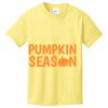 Youth 5.4 oz Cotton T-Shirt Thumbnail