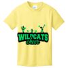 Youth 5.4 oz Cotton T-Shirt Thumbnail