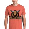 Unisex 4.5oz Fan Favorite Cotton T-Shirt Thumbnail