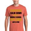 Unisex 4.5oz Fan Favorite Cotton T-Shirt Thumbnail