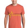 Unisex 4.5oz Fan Favorite Cotton T-Shirt Thumbnail