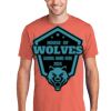 Unisex 4.5oz Fan Favorite Cotton T-Shirt Thumbnail