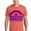 Unisex 4.5oz Fan Favorite Cotton T-Shirt Thumbnail