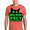 Unisex 4.5oz Fan Favorite Cotton T-Shirt Thumbnail