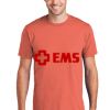 Unisex 4.5oz Fan Favorite Cotton T-Shirt Thumbnail